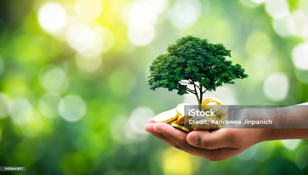 istockphoto-1405641817-1024x1024